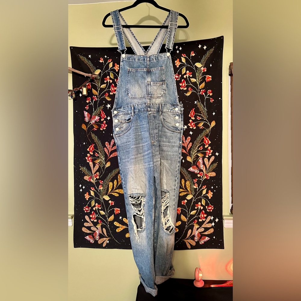 We the free ziggy denim overalls